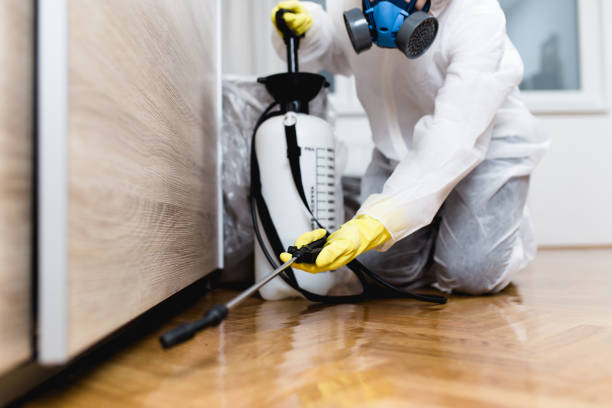 Best Pest Removal Services  in Lanster, CA