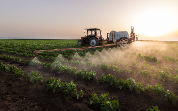 Best Wildlife Control Services  in Lanster, CA