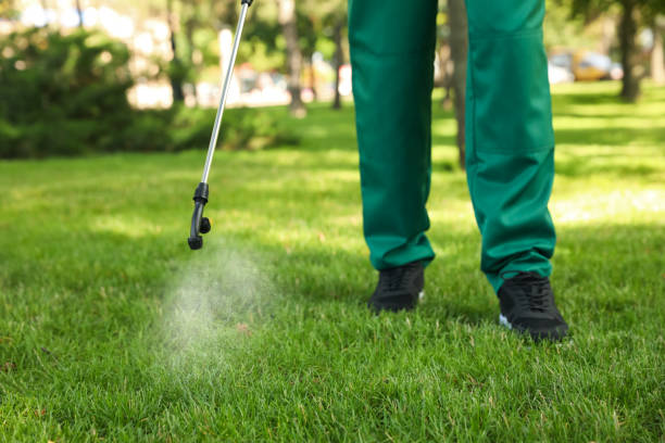 Best Pest Inspection Near Me  in Lanster, CA