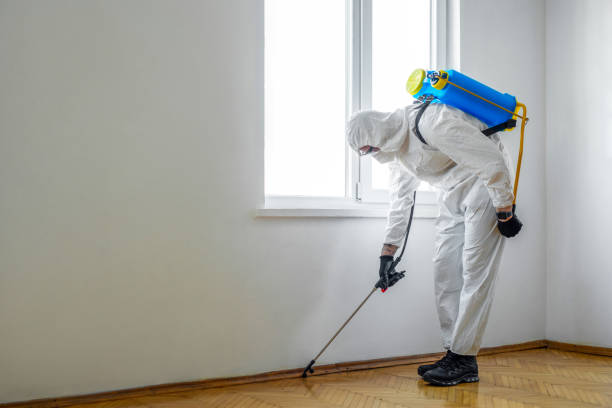 Reliable Lancaster, CA Pest Control Solutions