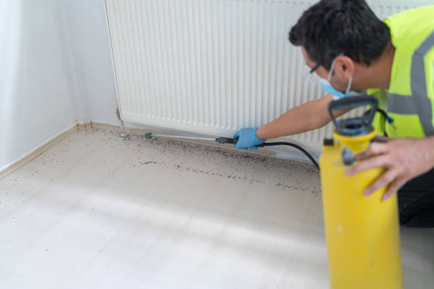 Best Emergency Pest Control  in Lanster, CA